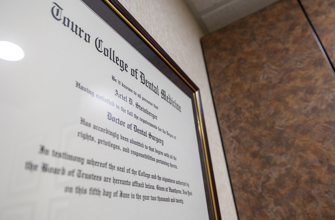 Framed Doctor of Dental Surgery degree for Doctor Ariel Steinberger